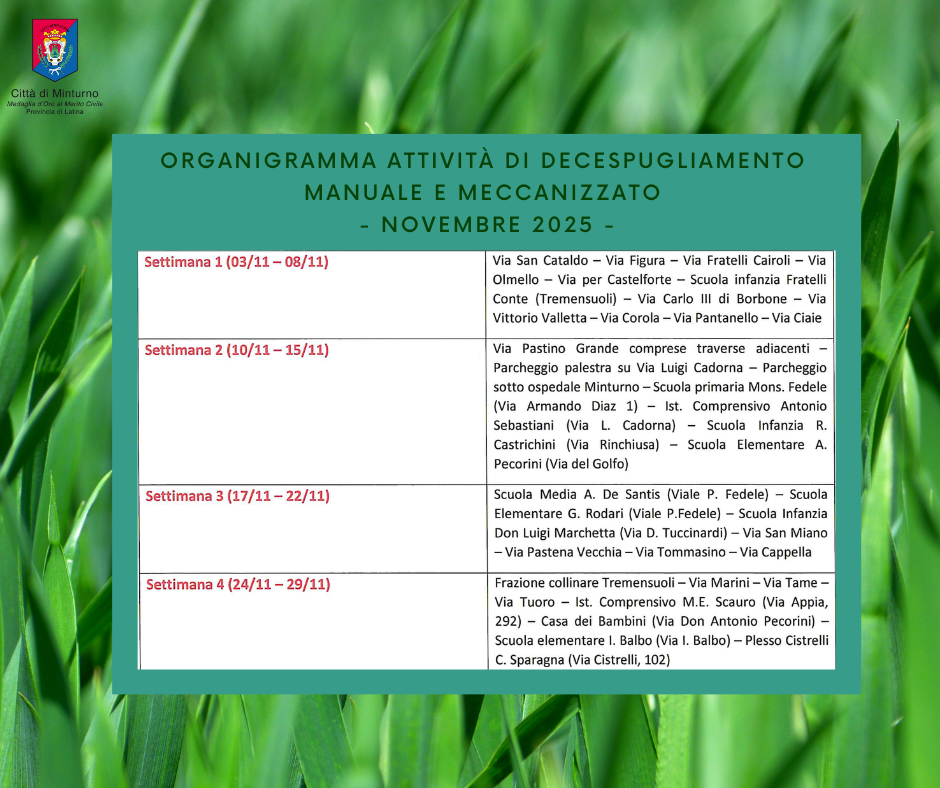 descrizione immagine